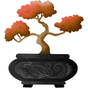 bonsai tree 