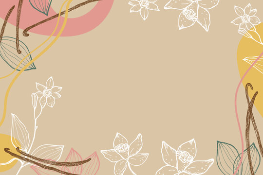 Vanilla label template background for text. Flower and sticks of vanilla plant vector illustration with pods, fragrant spices. For label,spice packaging, card, banner. Hand drawn abstract design 