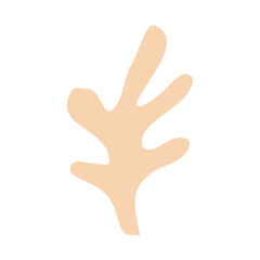 The silhouette  logo of an algae or coral , seaweed, an excellent design on a marine theme