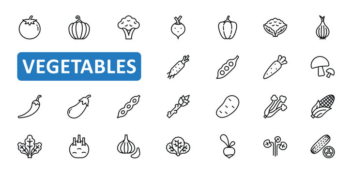Vegetables icon set. vegetable, healthy, organic, food, vegetarian, onion, tomato, carrot, pumpkin, root, garlic, icons. Editable stroke thin line outline icon collection. Vector illustration