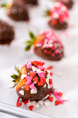 Chocolate covered strawberries