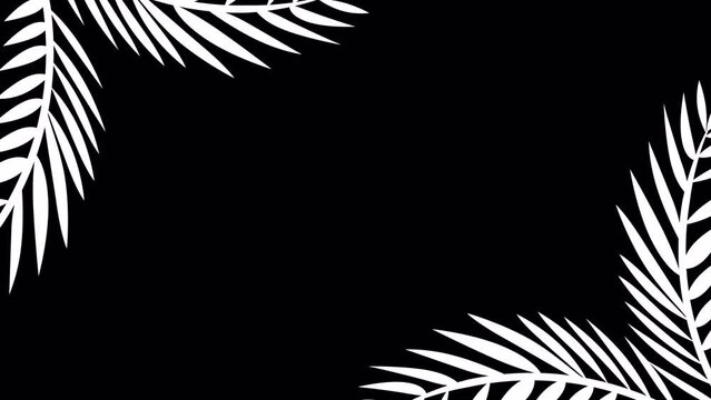 Border Side Frame Black and white Plant Loop  with alpha channel