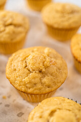 Dulce de Leche Cupcakes