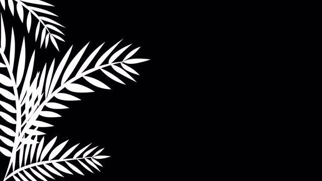 Left side frame video overlay element of palm tree plant leafs playing seamlessly loop in 4k resolution with black and white alpha channel