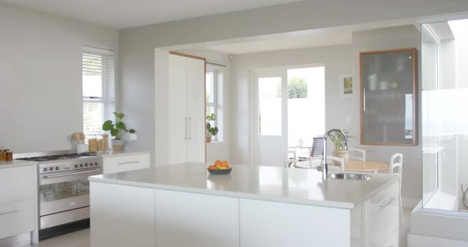 Big white empty kitchen with plants, big wardrobe and oven, slow motion