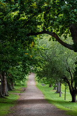 Obraz premium Port Arthur walk 