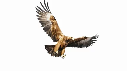 Deurstickers Golden eagle collection © Yzid ART