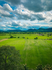 landscape with green field and sky