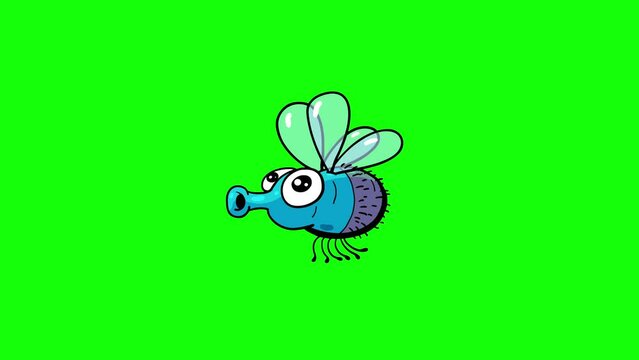 Fly cartoon dynamic animal doodle greenbox. Cute character for any use. Green screen seamless loop.
