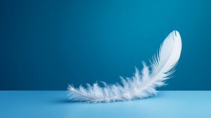 feather bird on blue background with minimalist elegance