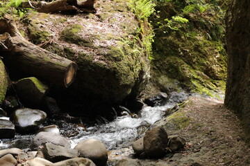 秋田県藤里町にて４