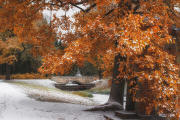 autumn in the park