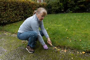 A woman removes grass that has grown between paving slabs. Remove weeds from decks and sidewalks....