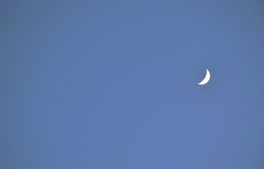 Obraz na płótnie Canvas half moon floating on blue sky in twilight background 
