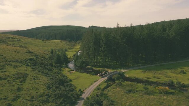 Idyllic countryside of Bellever Forest in Dartmoor National Park, UK