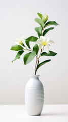 White flower vase green leaf on the table white background
