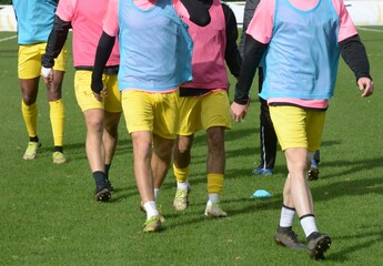 Fototapeta premium les joueurs de football sur le terrain 