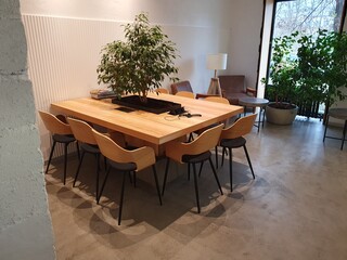 Interior for a coffee shop with a living tree in the middle of the table.