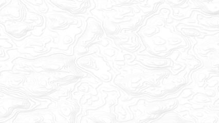 Abstract wavy line 3d paper cut white background. Topographic canyon geometric map relief texture with curved layers and shadow. Abstract realistic papercut decoration textured with wavy layers