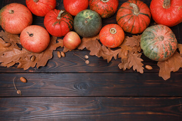 Autumn orange pumpkins above copy space top view. Dry oak leaves, acorns on dark rustic Thanksgiving table background. Fall menu, holiday, harvest season