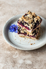 Baked oatmeal squares with fresh blueberry on beige background with cornflowers close up, text space. Menu, recipe