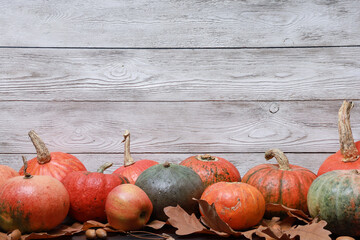 Autumn orange pumpkins and dry foliage side view with copy space on white wooden wall. November Thanksgiving rustic background. Fall menu, holiday, harvest season