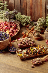 Various dried medicinal plants, herbs, and flowers on an old wooden background.
