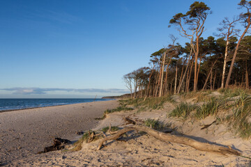 Traumhaft schöner Weststrand bei Ahrenshoop an der Ostsee, Fischland Zingst Darß, Mecklenburg-Vorpommern