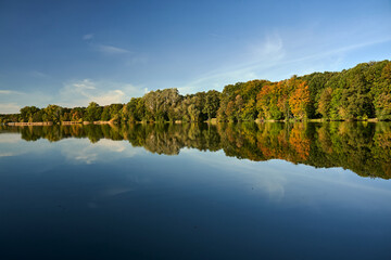 Fototapeta na wymiar deciduous forest by the lake on a sunny day during autumn