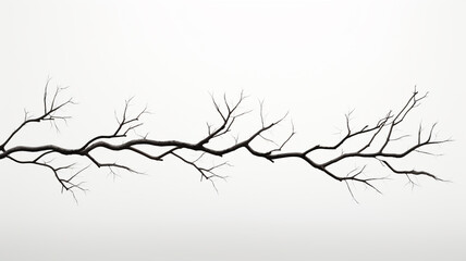 dry tree branch isolated on white background - obrazy, fototapety, plakaty