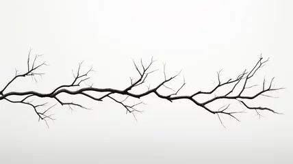 Foto op Plexiglas dry tree branch isolated on white background © sema_srinouljan