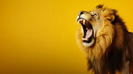 Foto op Canvas Portrait of a graceful roaring lion's face. © sema_srinouljan