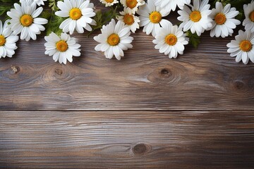 Daisies on wooden background