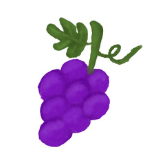 Purple Grapes with Leaves Isolated Hand Drawn Painting Illustration
