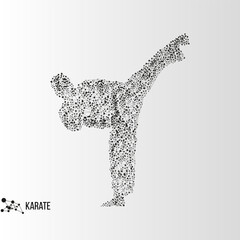 Abstract geometric molecule polygonal karate man silhouette isolated on gradient background