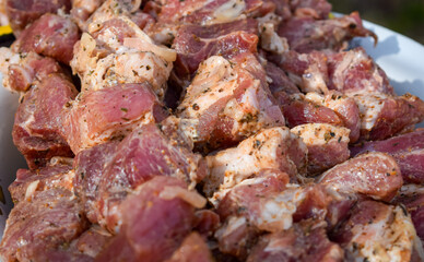 Pork meat is fried on smoking coals in the grill