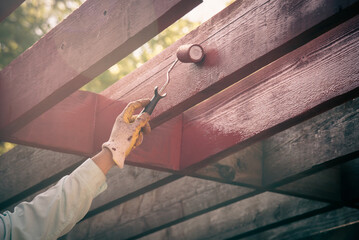 Toned photo Asian man hand wears nitrile coated gloves using roller staining redwood pergola timber outdoor structure backyard garden, long sleeve shirt in Dallas, Texas, US, home improvement - obrazy, fototapety, plakaty