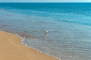 Beautiful clean golden beach of Madhavpur, Gujrat, India.