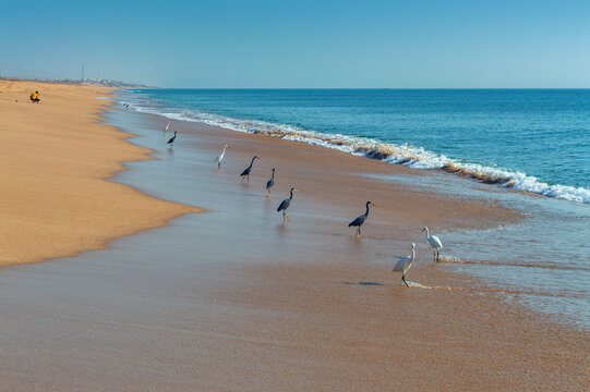 Beautiful clean golden beach of Madhavpur, Gujrat, India.