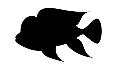 Abstract Fish Logo