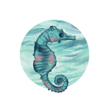 Seahorse against the background of the sea. Vector illustration in watercolor style. Greeting cards, covers, themed flyers and banners.
