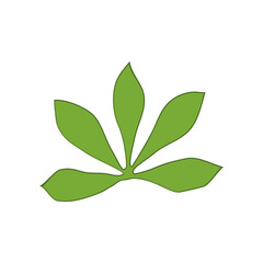 Leaf icon