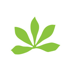 Leaf icon
