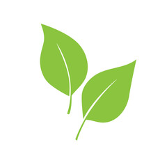Leaf icon