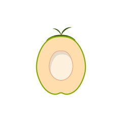 Natural Young Coconut flat design vector illustration. fresh coconut logo suitable for summer, vector design and isolated on white backgrounds.