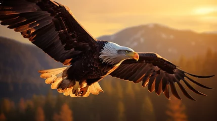 Zelfklevend Fotobehang Bald eagle in flight © SavinArt
