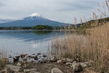 mount Fuji from Oishi park at Kawaguchiko lake, Yamanashi