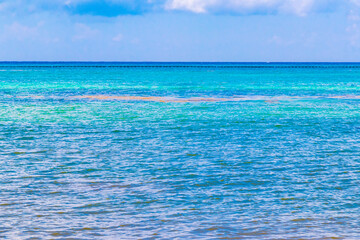 Obraz premium Tropical mexican beach clear turquoise water Playa del Carmen Mexico.