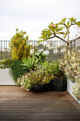 Plants in beautiful planters and potted plants on astylish  modern balcony