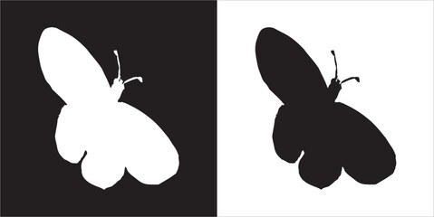 llustration vector graphics of butterfly icon